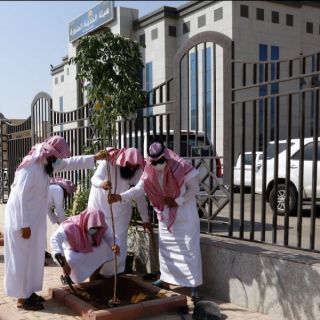 مدير عام هيئة المدينة يشارك في تشجير مباني الهيئة