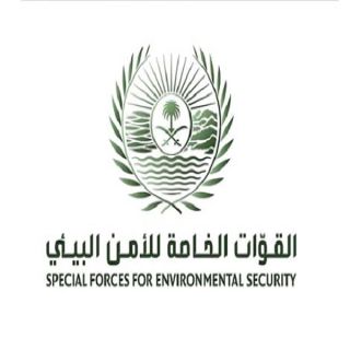 الأمن البيئي تحديد هوية (3) مواطنين ظهروا في فيديو قطع أشجار بمنطقة مكة