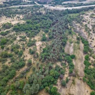 وادي يبه غرب #المجاردة طبيعة خلابة غائبة عن التطوير السياحي