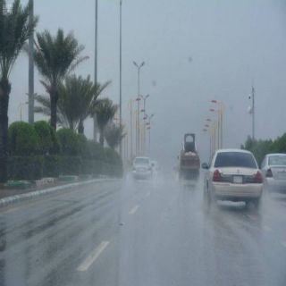 الأرصاد حالة مطرية مصحوبة برياح سطحية على #الرياض تشمل هذه المُحافظات