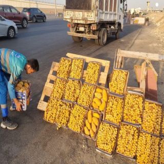 #أمانة_جدة تتعقب الباعة الجائلين وتُصادر 3 طن من الخضروات