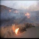 مدني عسير يُباشر حريق حشائش وشجيرات بقرية الضحي بمركز بللحمر
