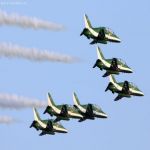 «الصقور الخضر» يزّينون سماء الرياض في اليوم الوطني