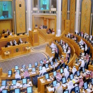 "الشورى" يطالب وزارة التجارة بوضع سقف أعلى لأسعار السلع الأساسية وإنشاء جمعيات تعاونية بأسعار مخفضة