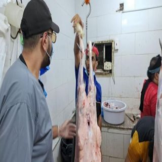 #أمانة_جدة تتعقب مراكز بيع اللحوم بـ480 جولة رقابية