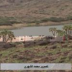 الأمطار والأجواء المعتدلة تدفع أهالي الدرب للخروج لتنزه 