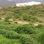 الأمطار والمناظر الطبيعية تستهوي المتنزهين في تهامة عسير