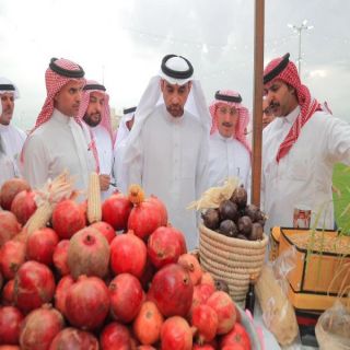 محافظ البكيرية يفتتح مهرجان ثمرات الشيحية