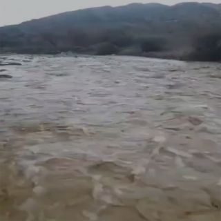 فيديو - أمطار المجاردة بعدسة "وطنيات"
