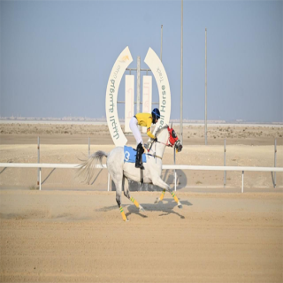 ميدان فروسية الجبيل يقيم سباقه العاشر