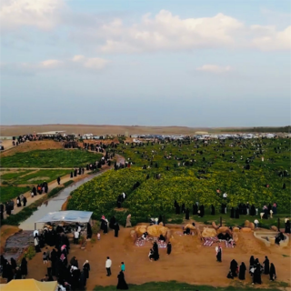 محمية الناصرية برياض الخبراء وجهه سياحية في أحضان الطبيعة