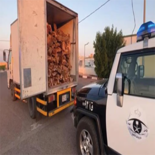 دوريات الأمن في القصيم تضبط مواطن بحوزته حطب محلي معروض للبيع