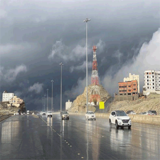 البيئة القصيم تُسجل أعلى مُعدل هطول أمطار بـ 25.0 ملم