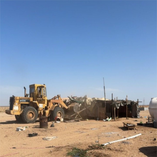 أمانة جدة تزيل 7 حظائر أغنام عشوائية ضمن نطاق ذهبان