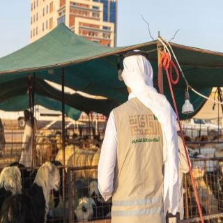 #أمانة_القصيم تنفذ 3490 زيارة رقابية على المنشآت الصحية ببريدة