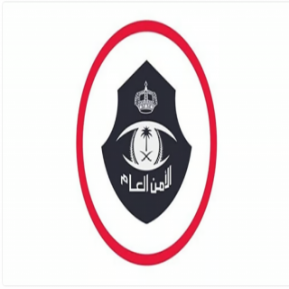 في الجوف ضبط (4) وافدين لمُمارستهم الدعارة في شقة سكنية