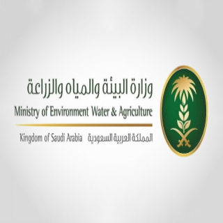 "البيئة" تُعلن اشتراطات تعبئة وتغليف الخضار والفواكه لضمان جودة وسلامة المنتجات الغذائية