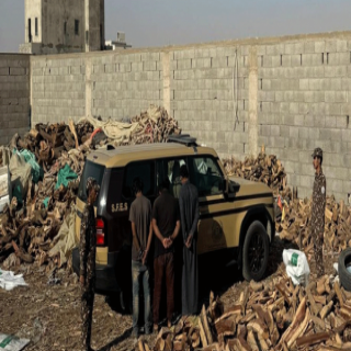 "الأمن البيئي" يضبط 3 مقيمين خالفوا نظام البيئة في الرياض