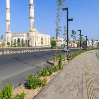 أكثر من 1400 شجرة بونسيانا وجاكرندا تزين طريقي المحالة والأمير سلطان ضمن مشاريع أنسنة أمانة عسير