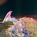 الرياض: سقوط «طائرة صغيرة» قرب المطار و إصابة طاقمها الأميركي   
