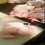 شاهد طرق الغش في زيادة حجم الدجاج قبل بيعها