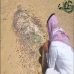 "فيديو"داعية يُحطم رخامة وضعت على مقارب بمحافظة القريات