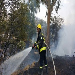 مدني الباحة يُباشر حريق مدرجات زراعية بقرية العقلة