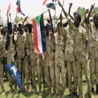 الصحف الإماراتية تُرحب بوصول القوات السودانية إلى عدن للمشاركة ضمن قوات التحالف