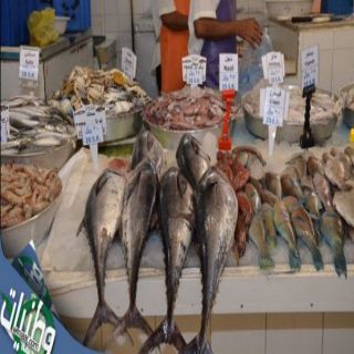 بلدية وسط الدمام تبدأتطبيق وضع قائمة الأسعار على سوق السمك