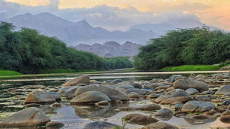 وادي البرداني وادي البرداني